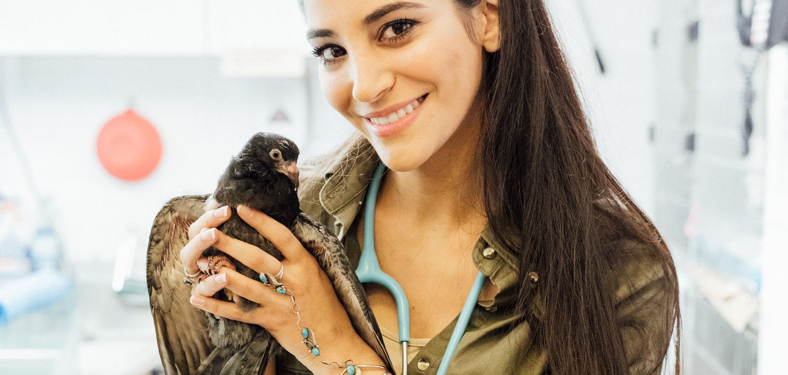 Dr. Zonenshine with a duck patient at the Wild Bird Fund