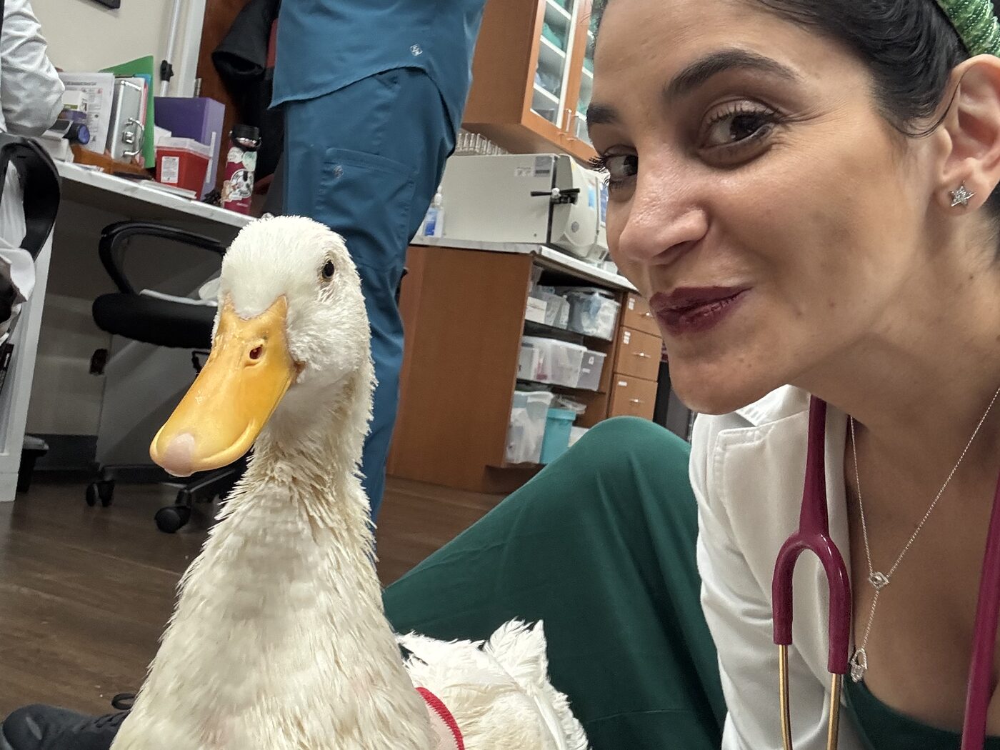 Dr. Zonenshine with a duck patient during an exam